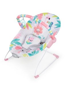 Bouncer Flamingo Vibes Bright Starts